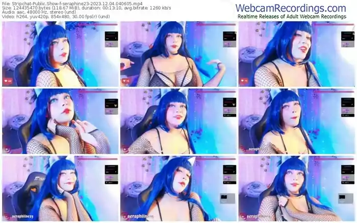 stripchat-seraphine23-12-04-2023-04-06-05