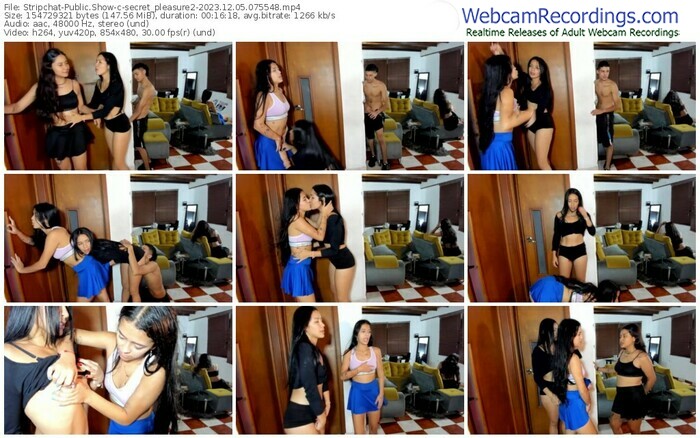 stripchat-secret_pleasure2-12-05-2023-07-55-48