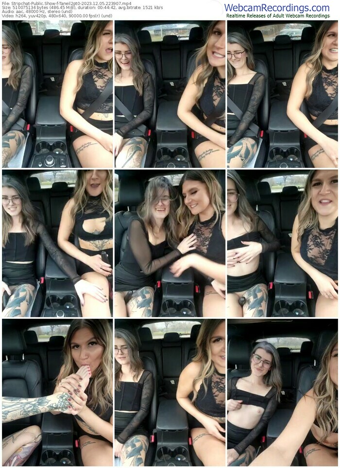 stripchat-taneil2pt0-12-05-2023-22-39-07