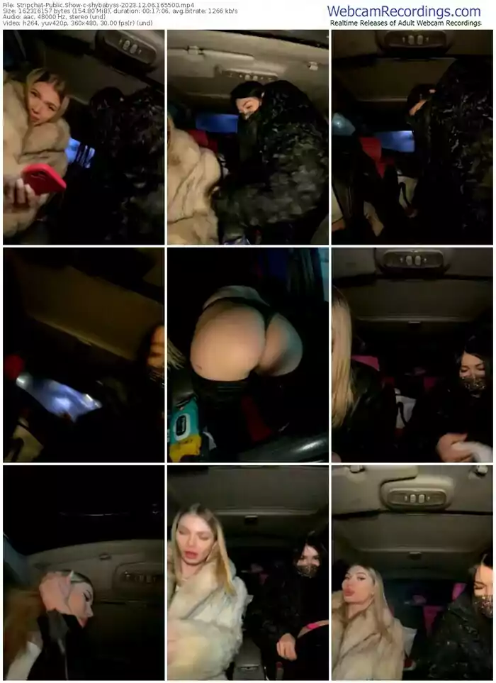 stripchat-shybabyss-12-06-2023-16-55-00