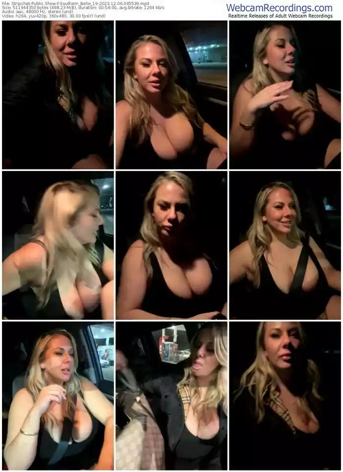 stripchat-southern_belle_19-12-06-2023-04-55-39