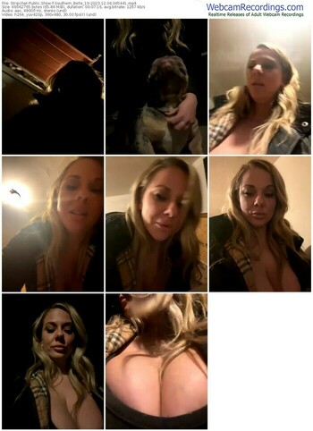 stripchat-southern_belle_19-12-06-2023-06-54-41