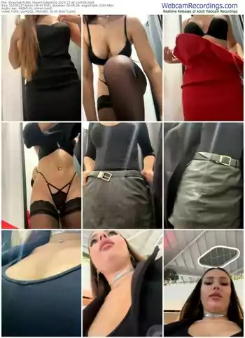 stripchat-syka0001-12-06-2023-16-41-58