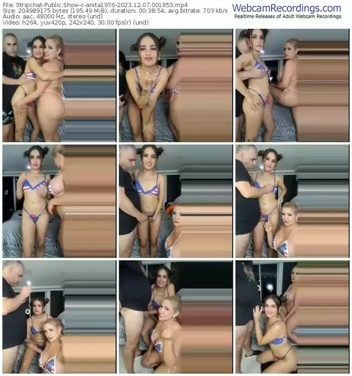 stripchat-anita1976-12-07-2023-00-18-53