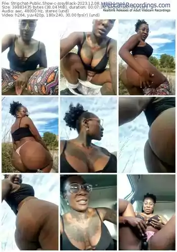 stripchat-josyblack-12-08-2023-14-06-14