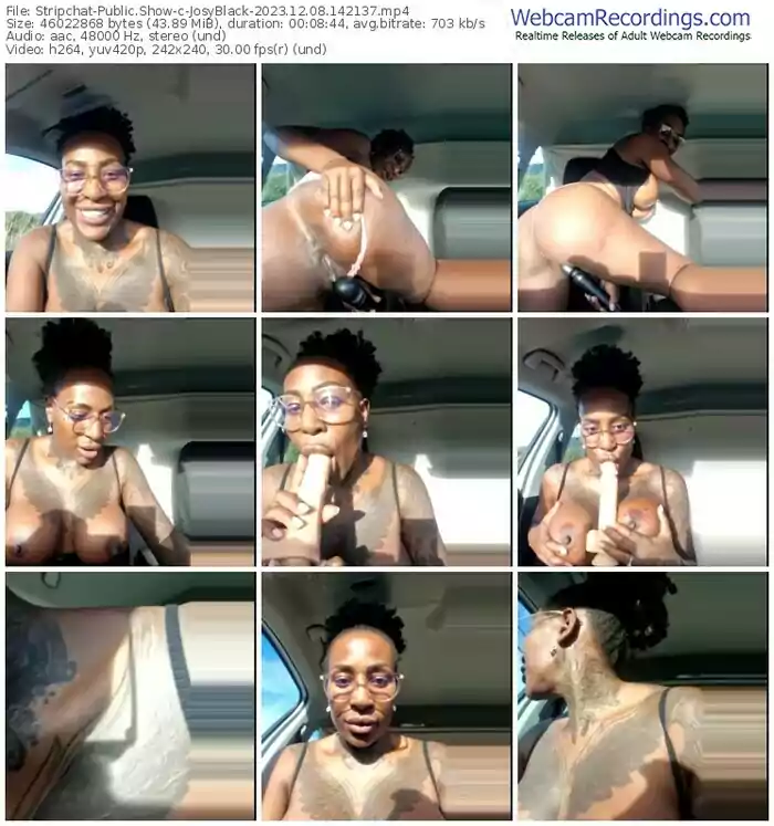 stripchat-josyblack-12-08-2023-14-21-37