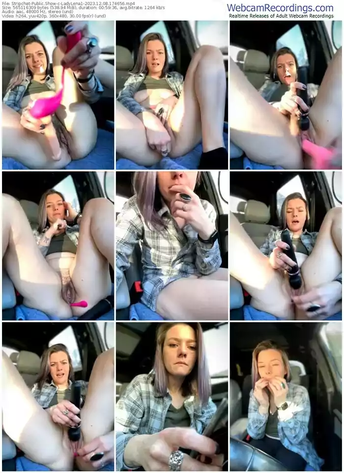 stripchat-ladylena1-12-08-2023-17-46-56