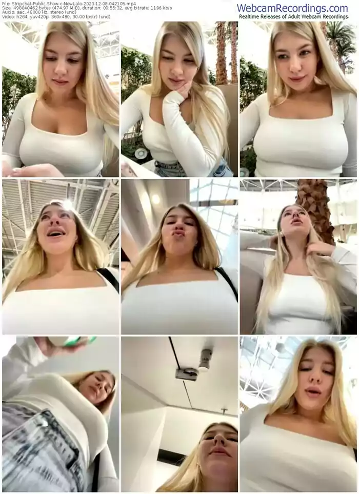 stripchat-newlale-12-08-2023-04-21-05