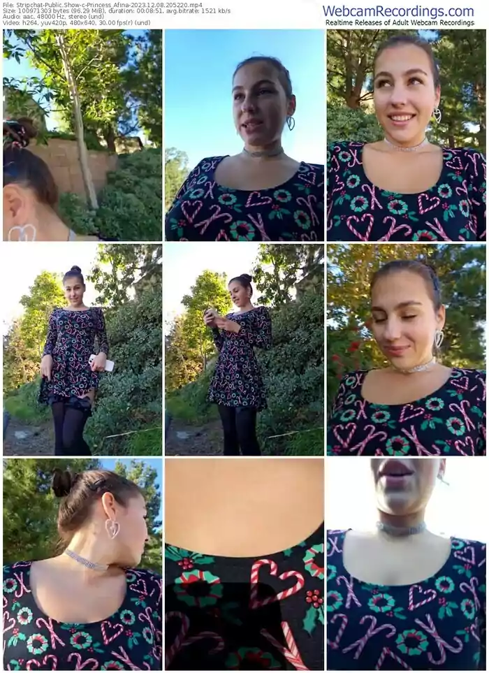 stripchat-princess_afina-12-08-2023-20-52-20
