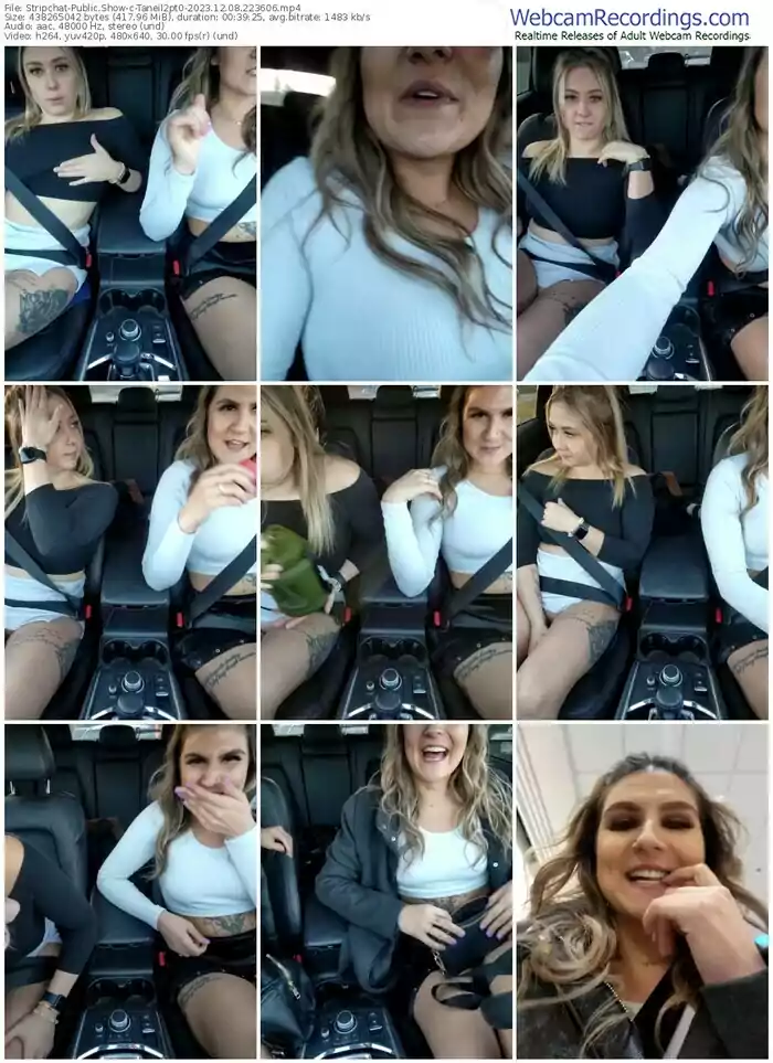 stripchat-taneil2pt0-12-08-2023-22-36-06