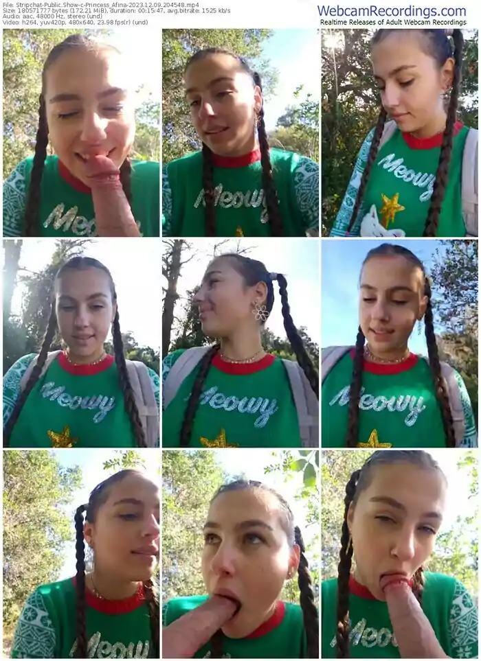 stripchat-princess_afina-12-09-2023-20-45-48