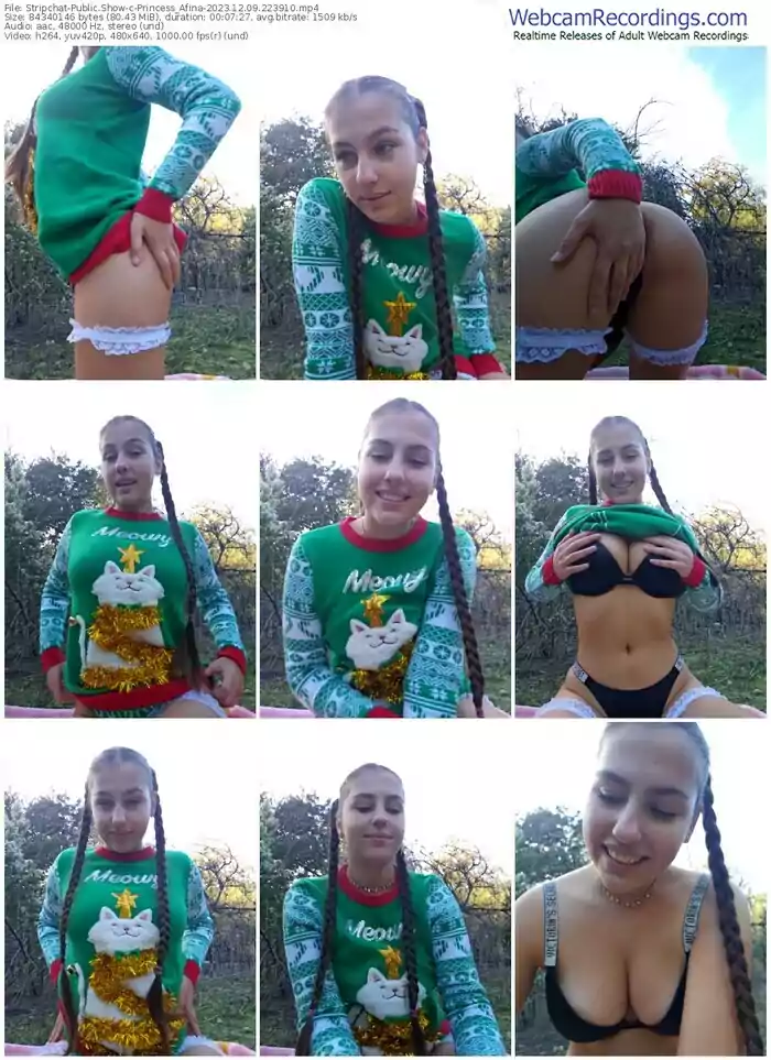 stripchat-princess_afina-12-09-2023-22-39-10