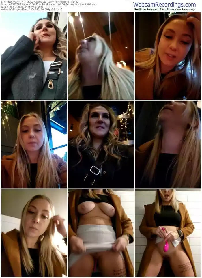 stripchat-taneil2pt0-12-09-2023-00-04-12