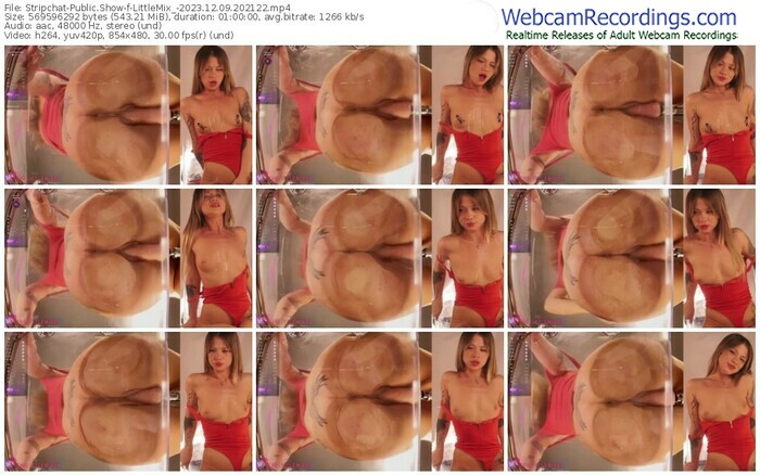 stripchat-littlemix_-12-09-2023-20-21-22