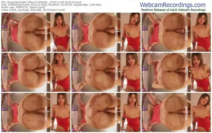 stripchat-littlemix_-12-09-2023-20-21-22