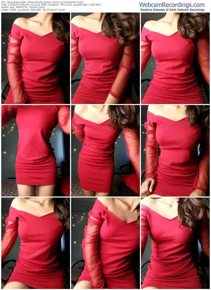 stripchat-wild_seemi-12-09-2023-09-33-47