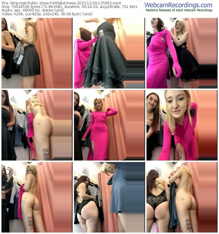 stripchat-littlebitchess-12-09-2023-12-59-52