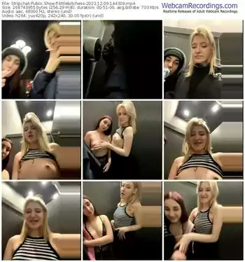 stripchat-littlebitchess-12-09-2023-14-43-09