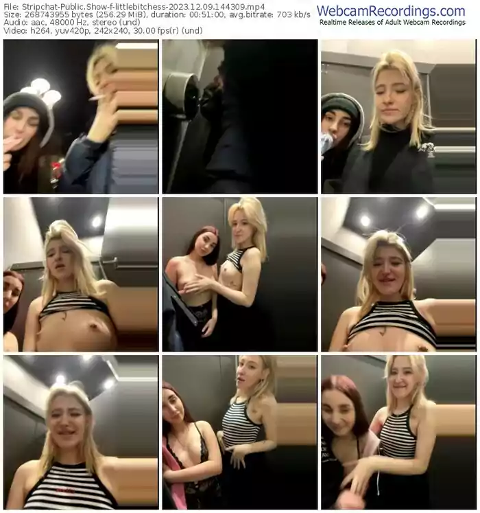 stripchat-littlebitchess-12-09-2023-14-43-09