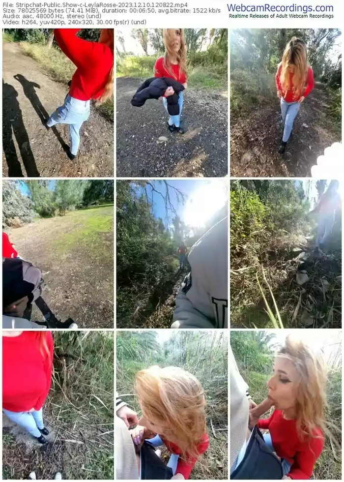 stripchat-leylarosse-12-10-2023-12-08-22
