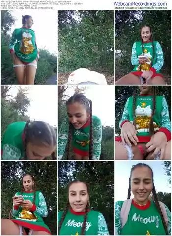 stripchat-princess_afina-12-10-2023-00-03-49