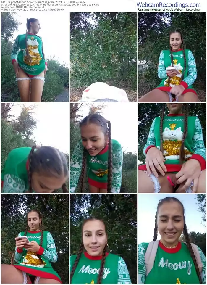 stripchat-princess_afina-12-10-2023-00-03-49