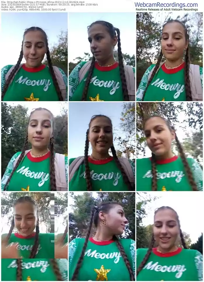 stripchat-princess_afina-12-10-2023-00-29-24