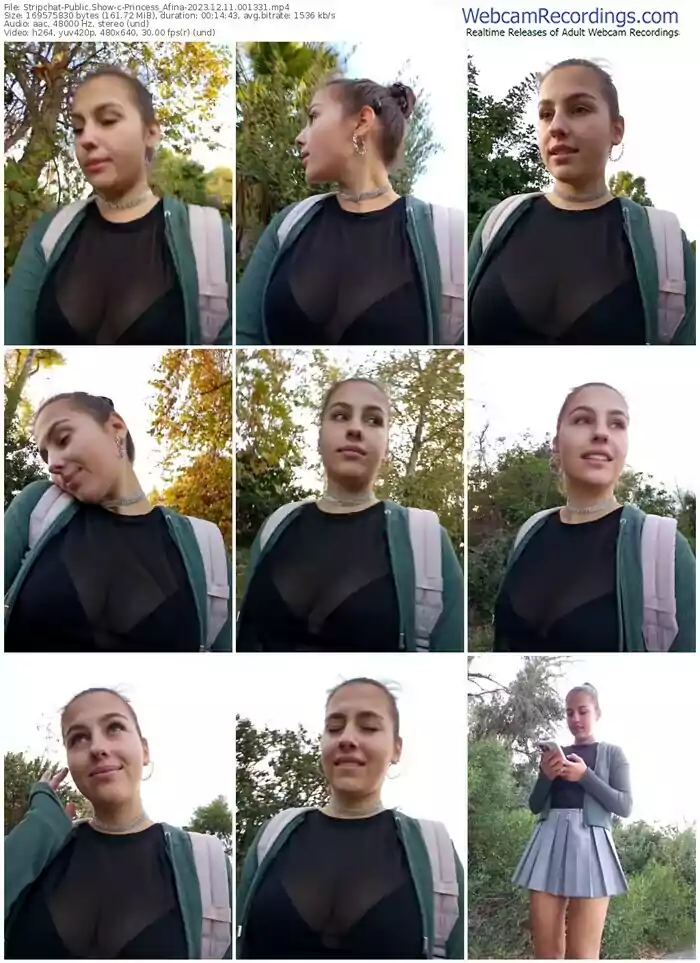 stripchat-princess_afina-12-11-2023-00-13-31