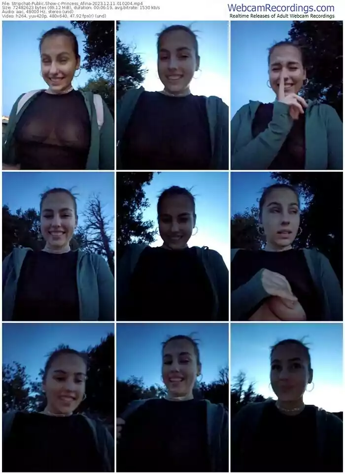 stripchat-princess_afina-12-11-2023-01-02-04