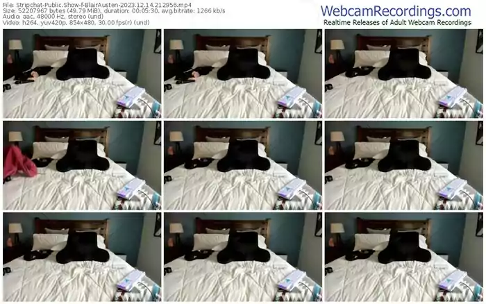 stripchat-blairausten-12-14-2023-21-29-56