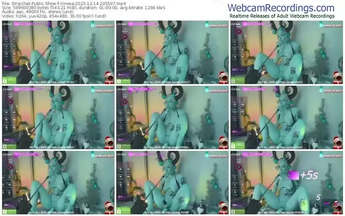 stripchat-xinsea-12-14-2023-20-55-07