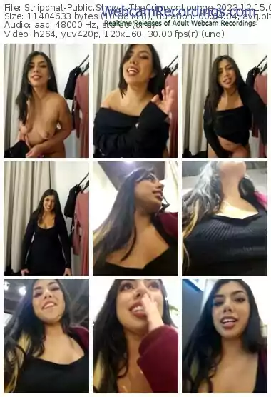 stripchat-thecrimsonlounge-12-15-2023-00-37-53