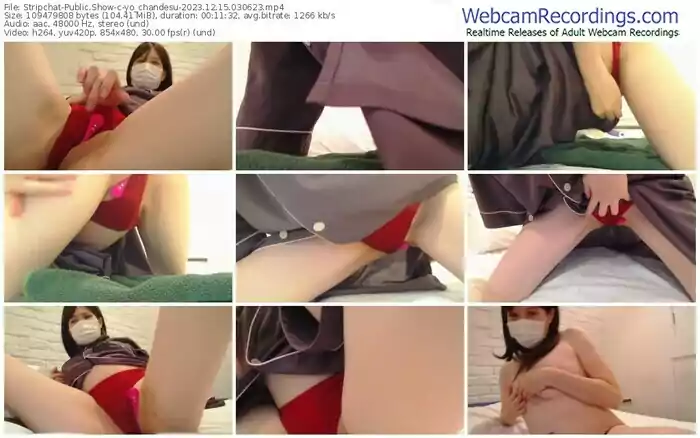 stripchat-yo_chandesu-12-15-2023-03-06-23