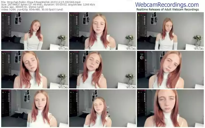 stripchat-rosewellsk-12-15-2023-03-22-44