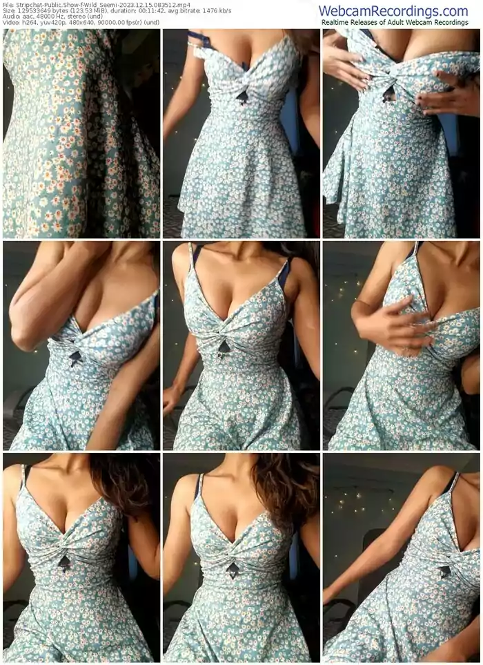 stripchat-wild_seemi-12-15-2023-08-35-12