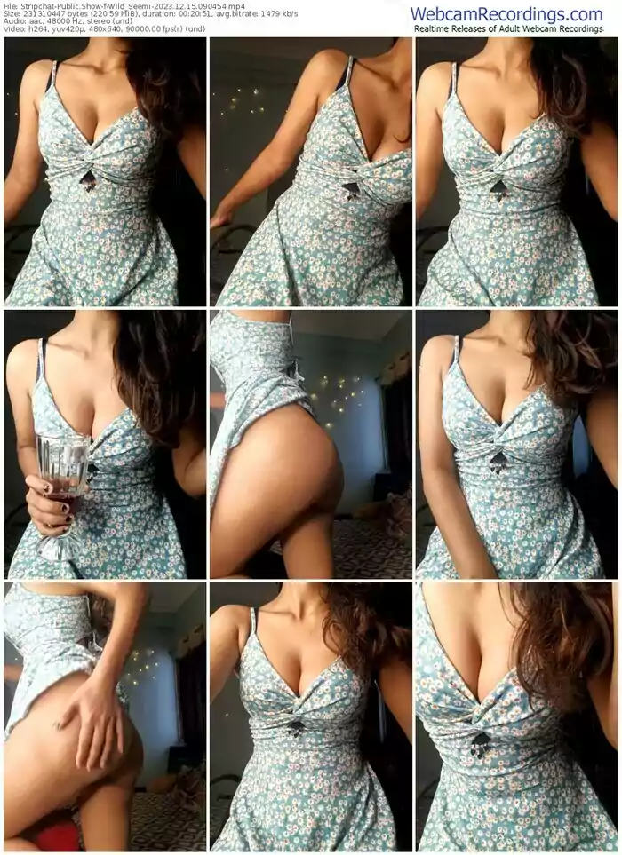 stripchat-wild_seemi-12-15-2023-09-04-54