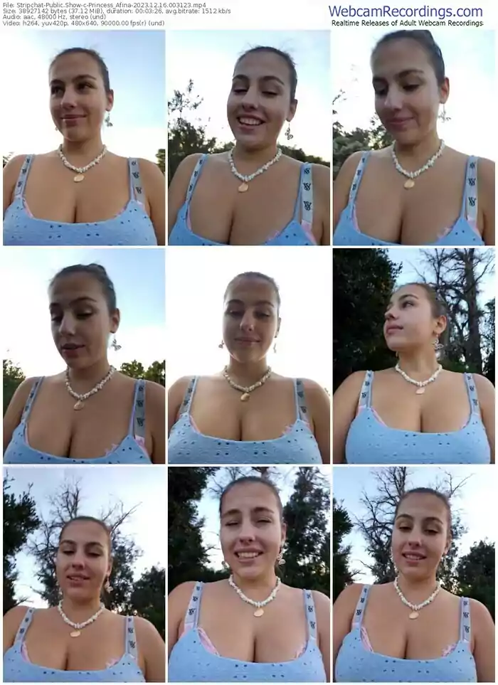 stripchat-princess_afina-12-16-2023-00-31-23