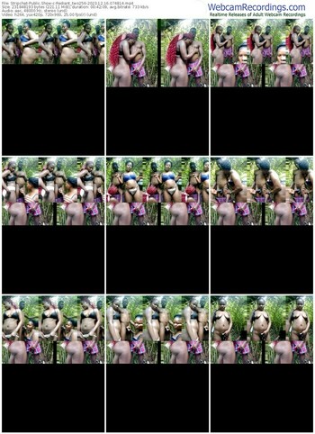 stripchat-rediant_two256-12-16-2023-07-48-14