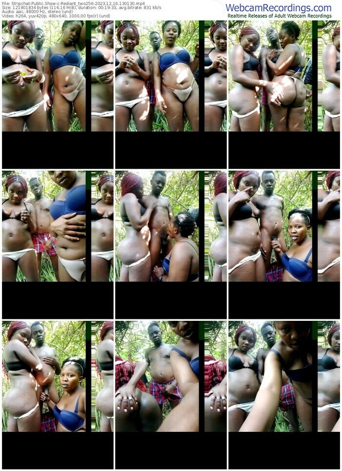 stripchat-rediant_two256-12-16-2023-13-01-30