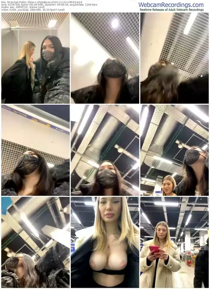 stripchat-shybabyss-12-16-2023-14-46-43