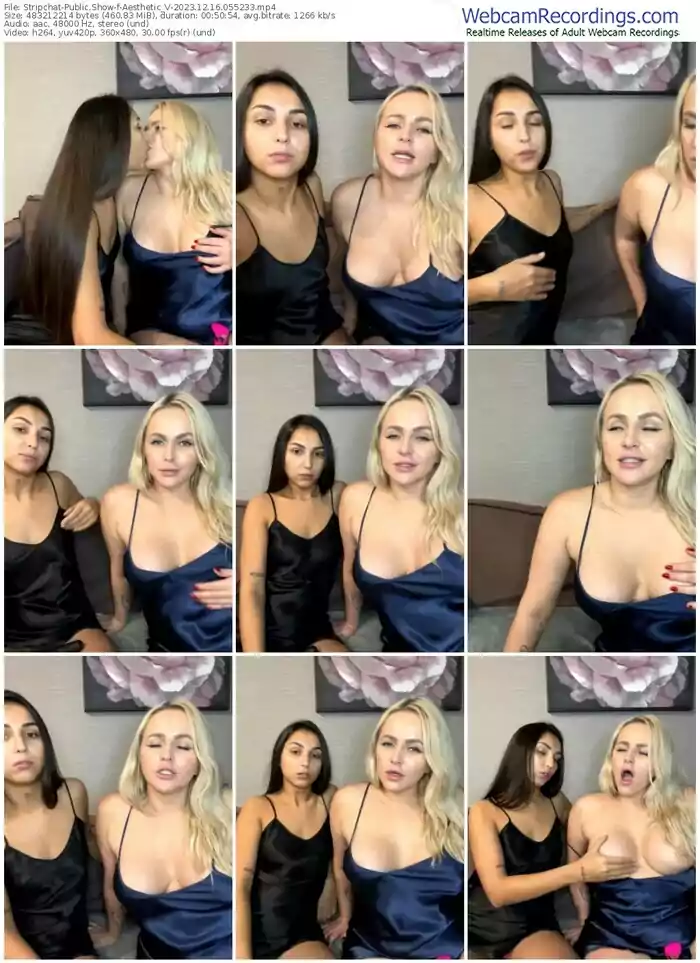 stripchat-aesthetic_v-12-16-2023-05-52-33