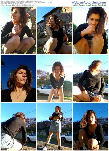 stripchat-lina_lou4-12-16-2023-14-13-59