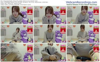 stripchat-n_hibiki-12-16-2023-15-42-07