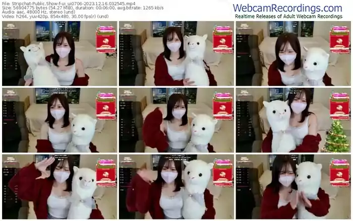 stripchat-ui_ui0706-12-16-2023-03-25-45