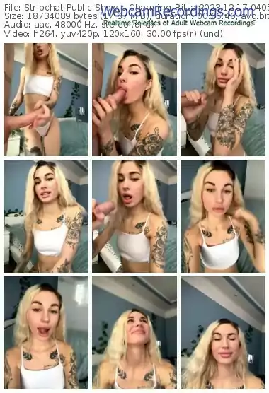 stripchat-charming_ritta-12-17-2023-04-05-00