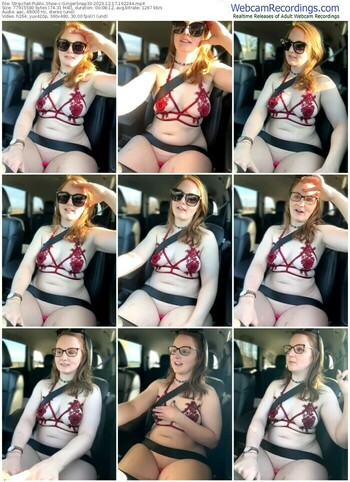 stripchat-gingersnap33-12-17-2023-19-22-44