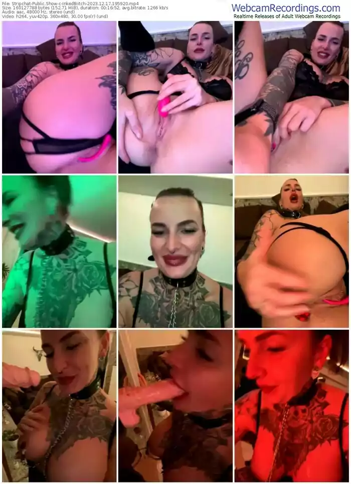 stripchat-inkedbiitch-12-17-2023-19-59-20