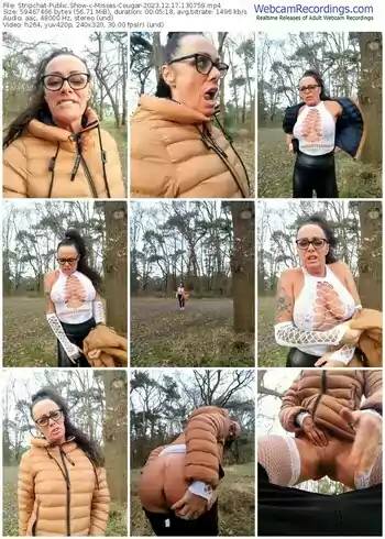 stripchat-misses-cougar-12-17-2023-13-07-59