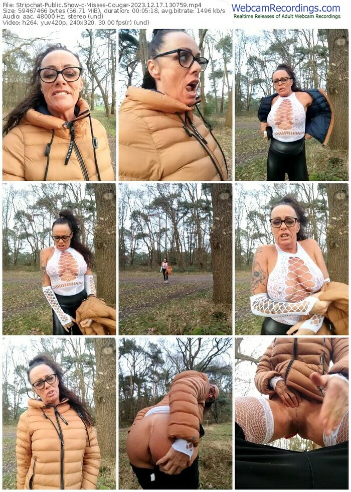 stripchat-misses-cougar-12-17-2023-13-07-59