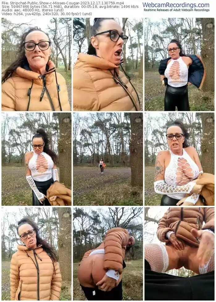 stripchat-misses-cougar-12-17-2023-13-07-59